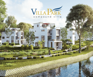 Villa Park Quận 9 (VLSG0003)