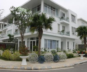 Villa Ngọc Trai 01 FLC Sầm Sơn – Biệt Thự 5 Phòng Ngủ Sang Trọng (VLTHFLC0007)