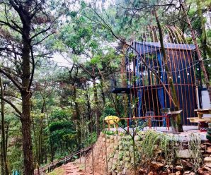 Bird Home Villa – Biệt thự cho thuê tại Sóc Sơn, Hà Nội (VLSS012)