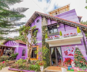 #7 villa sân vườn đẹp nhất Đà Lạt cho nhóm khách 10- 15- 20 người++