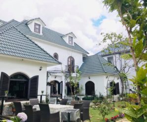 Giá biệt thự (villa) ở Đà Lạt Cenco cho thuê du lịch nghỉ dưỡng mới đẹp nhất